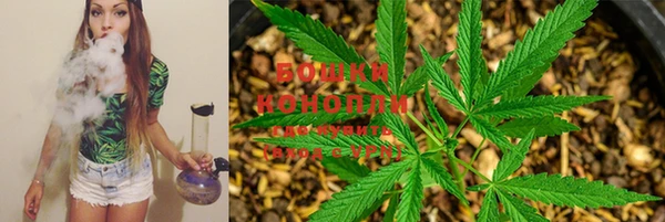 индика Лабытнанги
