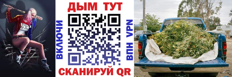 Бошки Шишки сатива  darknet клад  Изобильный 